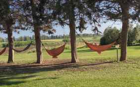 Die Hängematten laden zum Entspannen ein